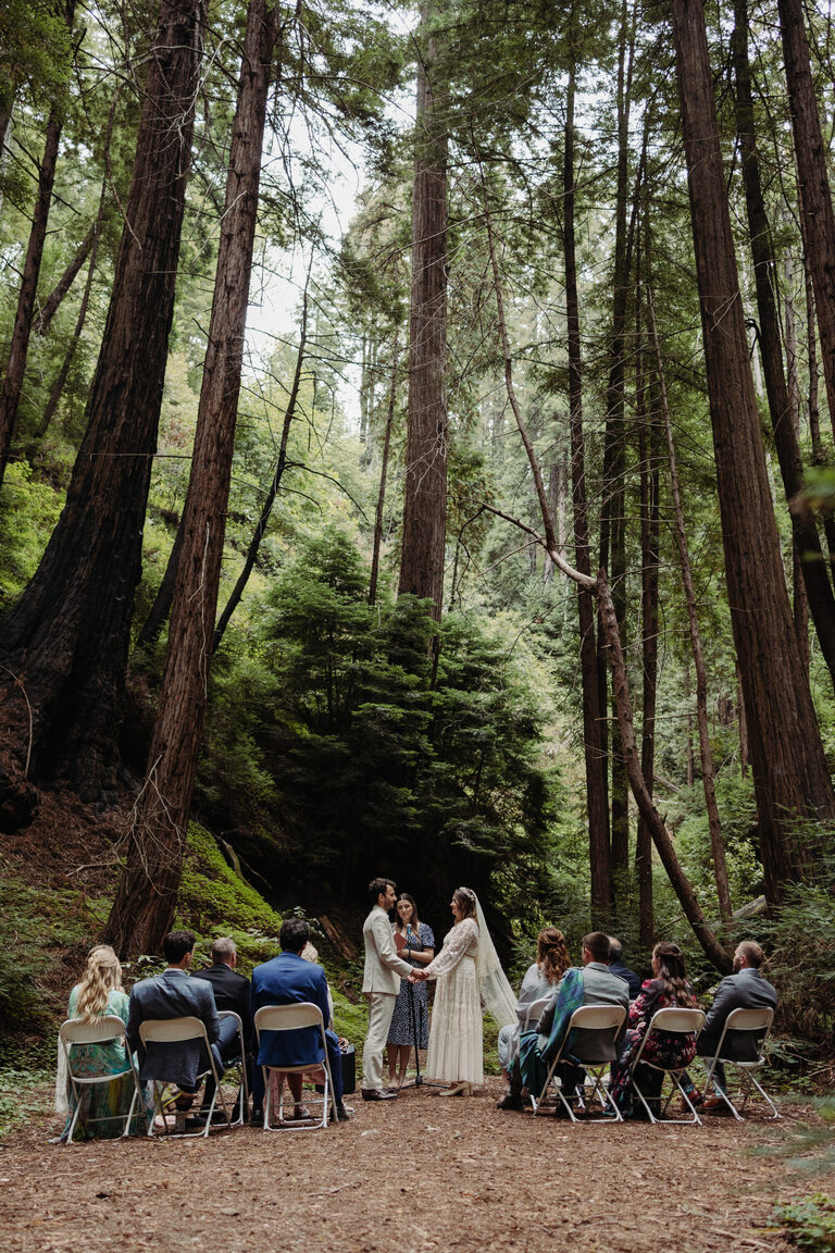 a small group of people watching a wedding ceremony among the redwoods at Henry Miller memorial library in Big Sur