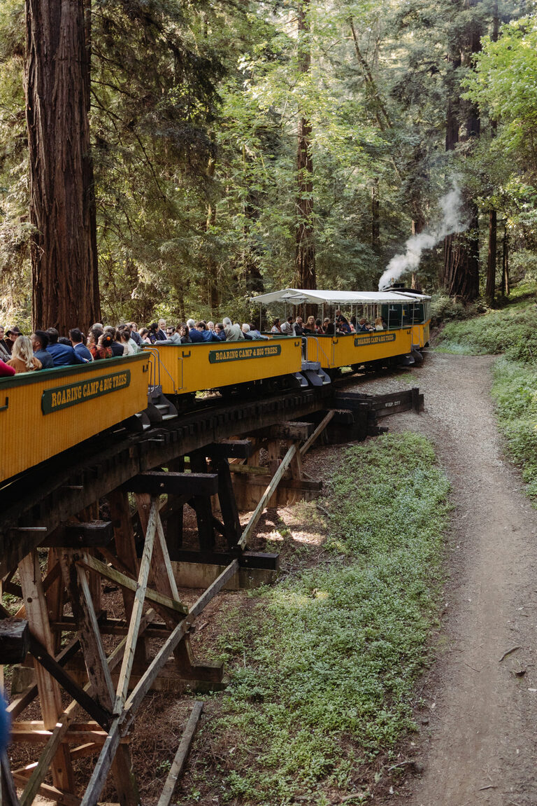 the roaring camp steam train moving through a redwood forest on it's way to a wedding ceremony