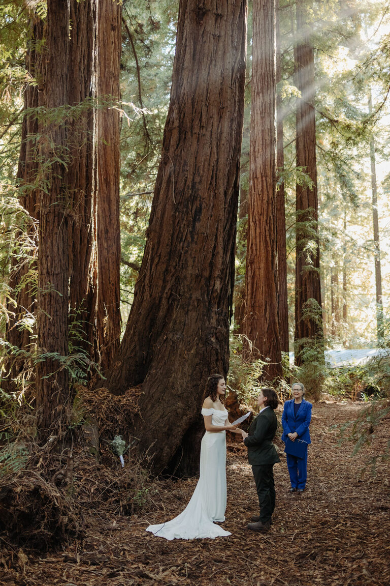 Big Sur redwood forest elopement 