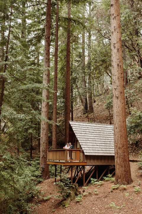 rustic redwood forest wedding venue california