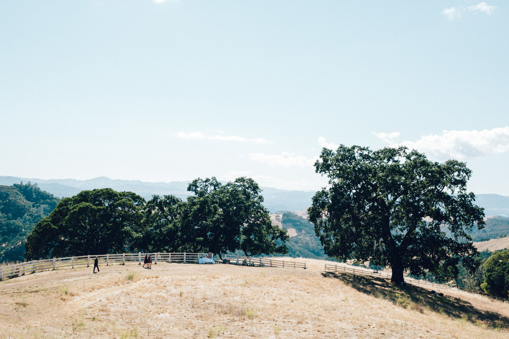 K&D / Diablo Ranch Walnut Creek Wedding