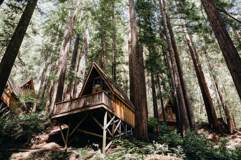 redwood forest wedding venues