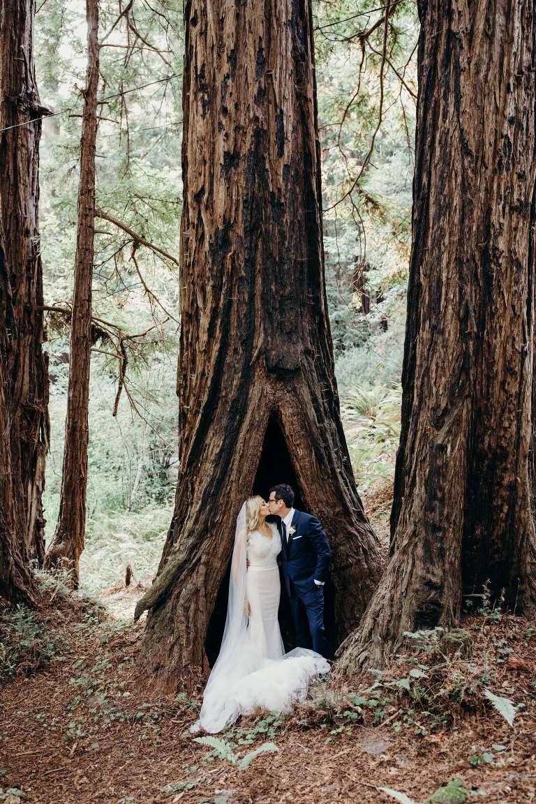 a bride and groom stand under a giant redwood at one of the best redwood forest wedding venues in california