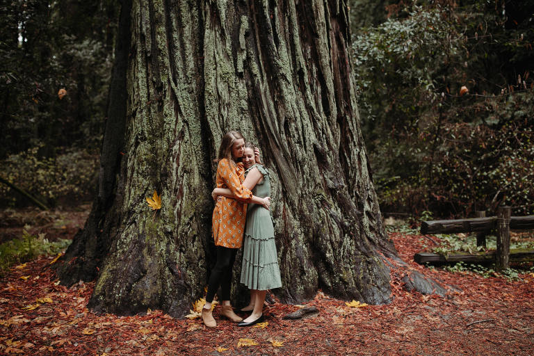 redwood forest portraits