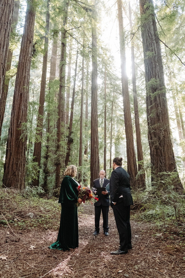 wedding ceremony in a big sur redwood forest