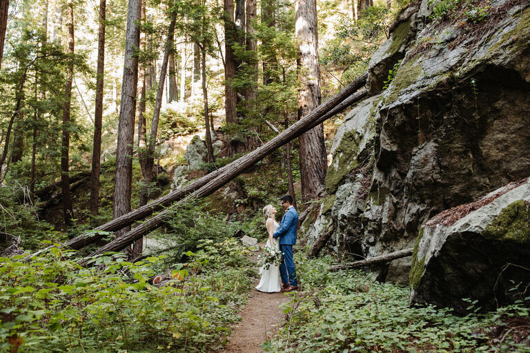 big sur redwood forest elopement