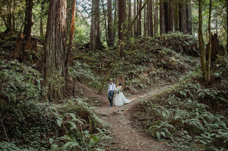 redwood forest wedding in california