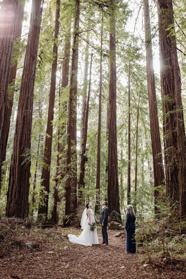 big sur redwood forest elopement ceremony