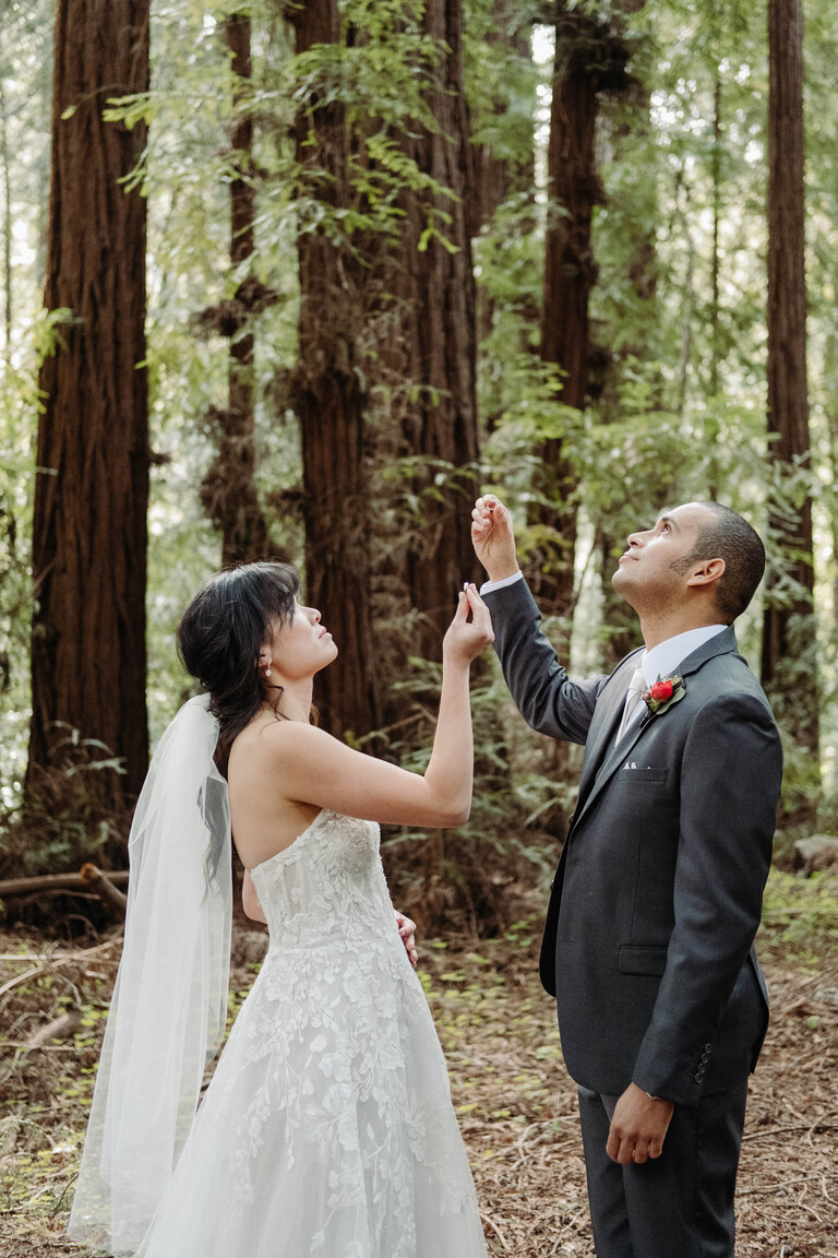 big sur redwood forest elopement ceremony