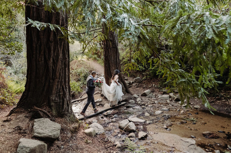 Insider.com best wedding photos of 2021 / Couple hikes through a redwood forest