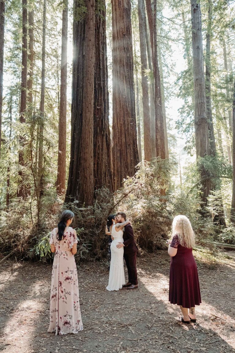 Henry Cowell State Park Wedding