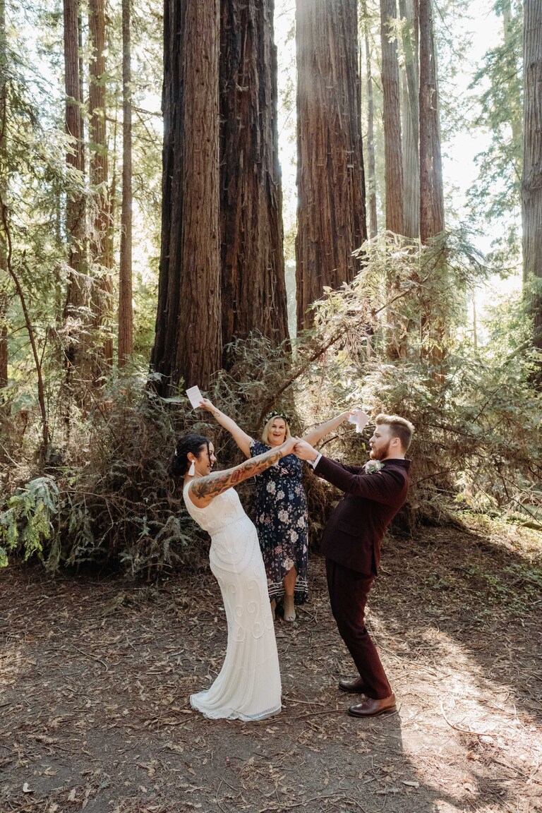 redwood forest elopement in california