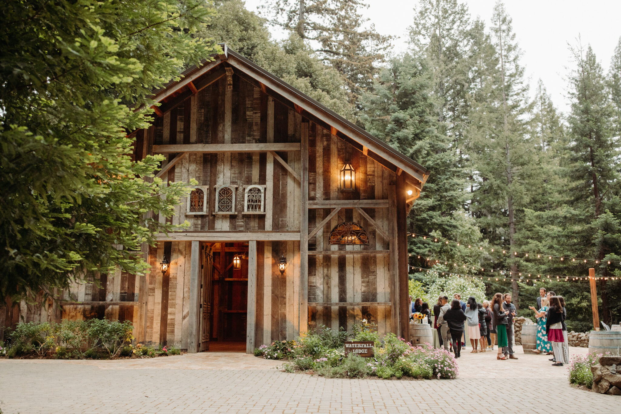 Best Redwood Forest Wedding Venues In California Melissa Ergo Photography