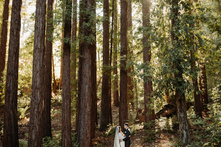 couple embraces in a redwood forest after an intimate wedding ceremony at Sparrow Valley retreat