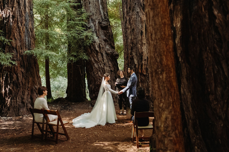 tiny wedding in a redwood forest in Big Sur, California