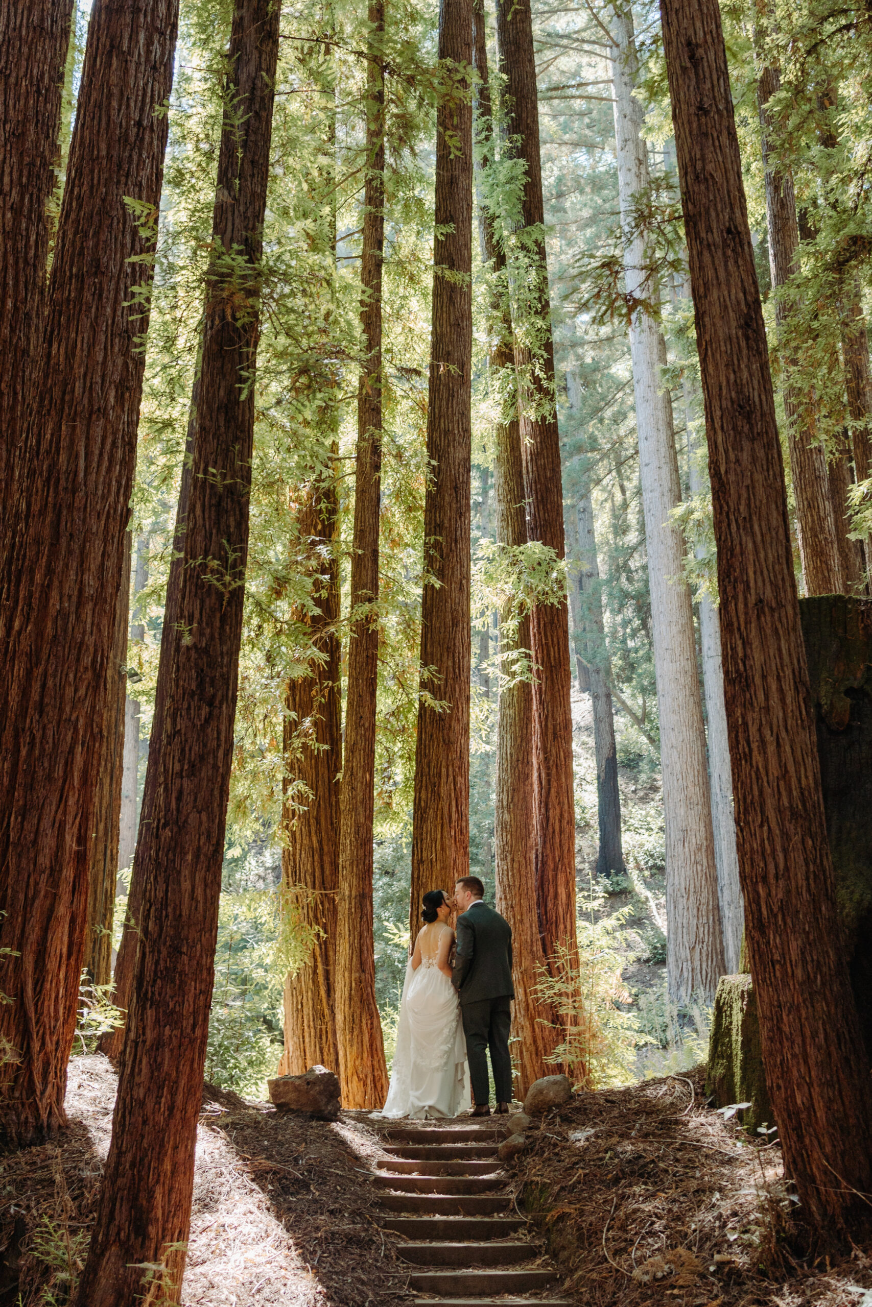 Waterfall Lodge Weddings in Ben Lomond, California / Santa Cruz Waterfall Lodge Weddings in Ben Lomond, California / Santa Cruz